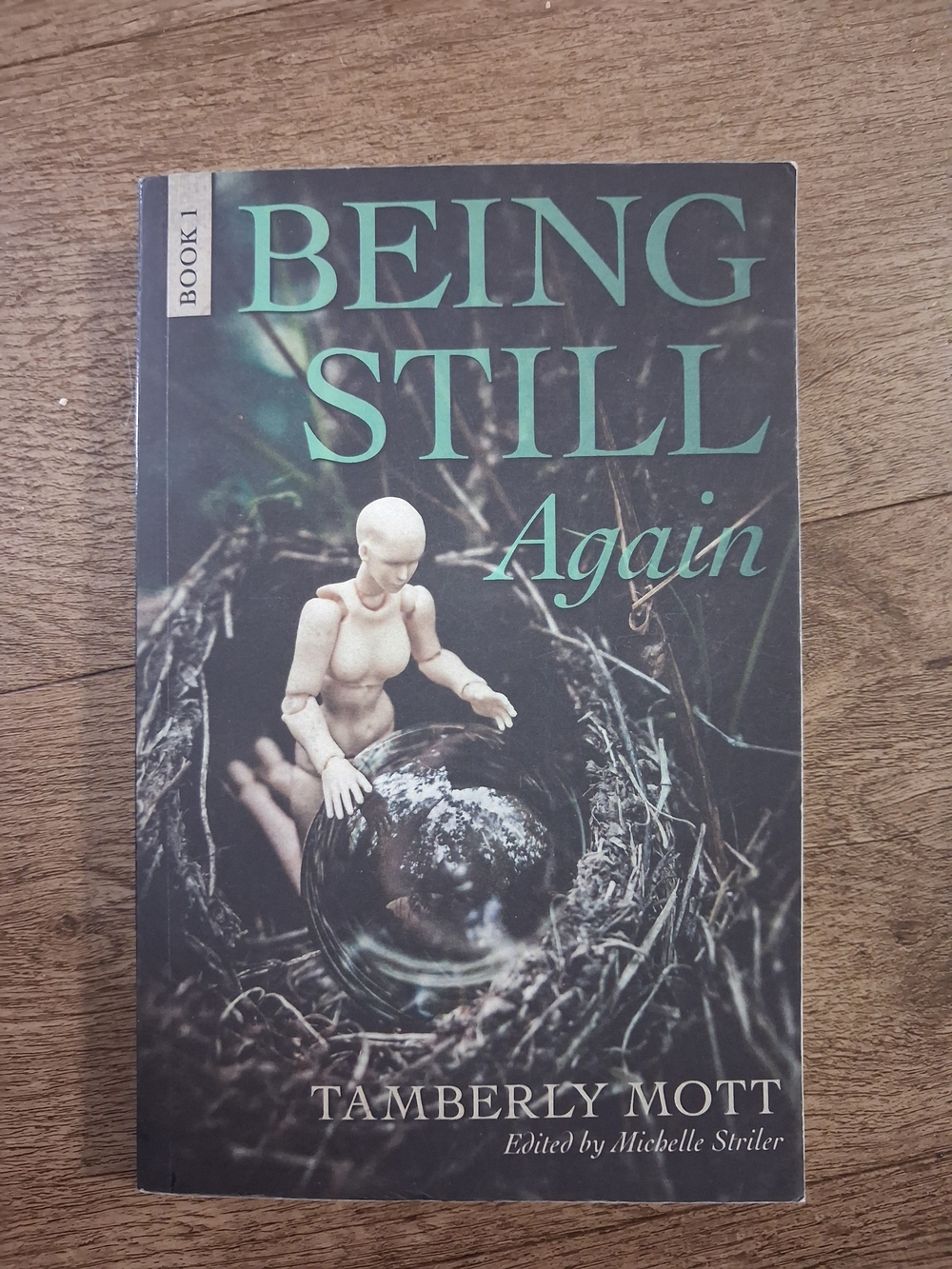 Being Still Again by - Teal/Green Cover